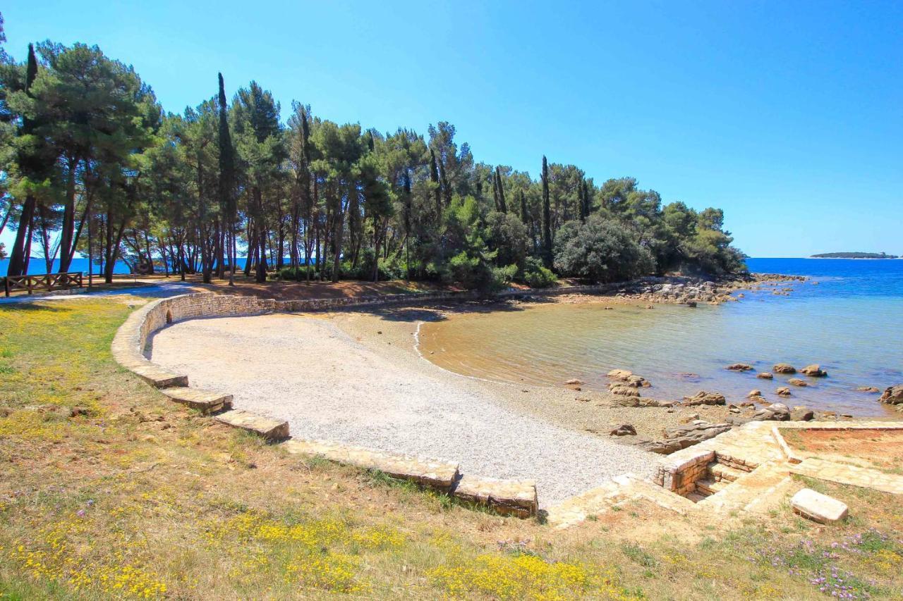 Vila Una With Private Pool Near Rovinj - Open 2022 Rovinjsko Selo Kültér fotó