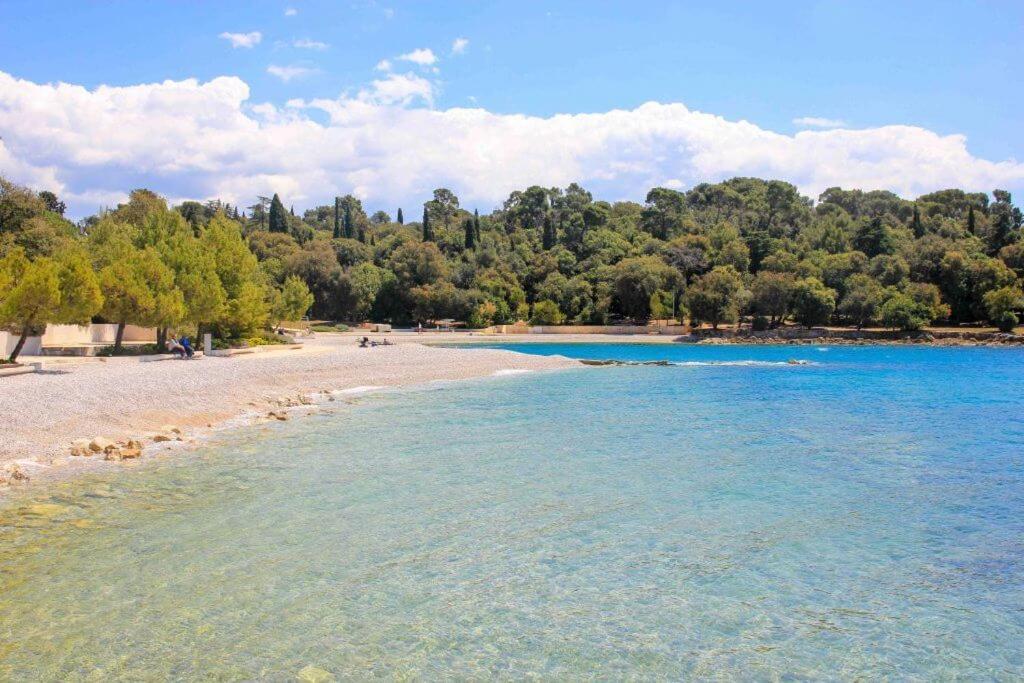 Vila Una With Private Pool Near Rovinj - Open 2022 Rovinjsko Selo Kültér fotó